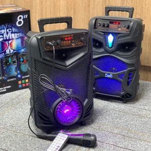 8inch Square Dance USB Powered Waterproof Portable Karaoke High Power Outdoor Performance Subwoofer Speaker