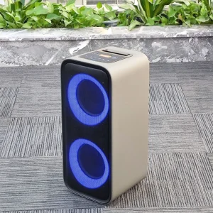 AAWM Double 6.5 Inch Woofer Party Speakers Private Model LED RMS 80W Karaoke Function Loud Stereo Sound System