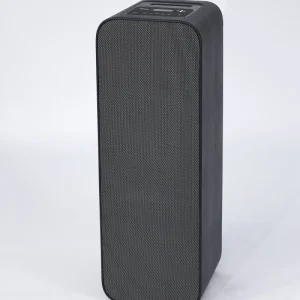 AAWM New Dual 10nch Outdoor Karaoke Speaker RMS 130W with 21700 Lithium Battery Wireless Speaker Accept Customize Color