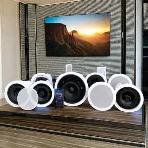 APP Controlled Home Theater System Multi Room Background Music Ceiling Speaker for Living Room Kitchen Installed via WiFi