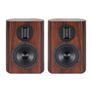 AVplay B-65 Pro 6.5 Inch 2 Way HiFi Bookshelf Speakers for Home Audio Vocals and Small Ensemble Music