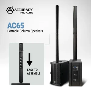 Accuracy Pro Audio AC65 12*2.75″ Neo MF Sound Column System Professional Active Column Array Speaker with Subwoofer