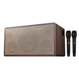 Active 2.1 Channel Audio Speaker Wireless Mini Speaker with UHF Wireless Microphone for Home Theater Speaker