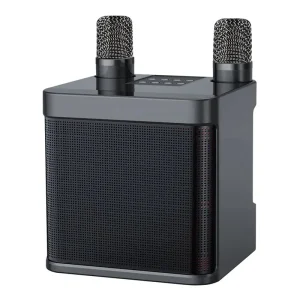 Active HiFi Portable Bluetooth Speaker System with Wireless Microphone 15W Karaoke Machine for Party Outdoors