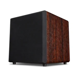 Active Subwoofer Shocking Bass 10 Inch Powered Subwoofer Bookshelf Home Theater Subwoofer