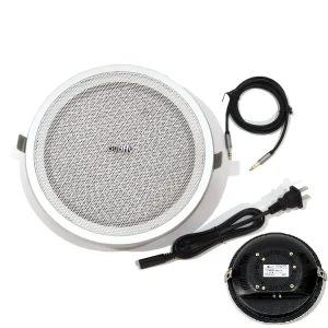 Active Ultrasonic Focused Sound Parametric Array Directional Audio Speaker for Museum