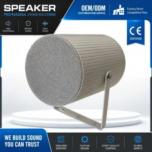 Adjustable Angle Directional Horn Speaker 70V 100V Wall Mount PA Loudspeaker