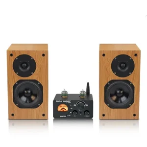 All in One Tube Amplifier Set with Passive Bookshelf Speakers for Home Audio Sound Equipment Amplifiers Speaker System