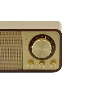 Antique Style JY66 Wooden Wireless Speaker 5W Portable FM Radio TF AUX Compatibility Built-in Mic Button Control