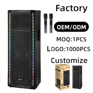 BA X2124 90W*2 High Power Stereo Party Speaker with Vertical RGB Light Bars Dual Wireless Mics Customizable for Outdoor Shows