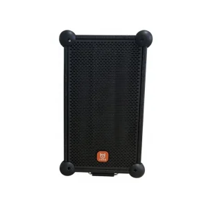 BD H0878 Portable Outdoor Speaker Better Bass 300W Double 8” Woofer Rechargeable Battery Display Screen Mobile App Karaoke