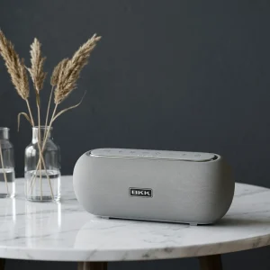 BKK X600 New Design Style for 20W Lightweight Portable Bluetooth Speaker Party Music