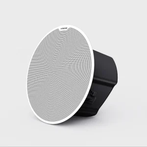 BS27 6.5 Inch 100V/70V/8 OHMS 100W Ceiling Speakers Ceiling Speaker System Ceiling Speakers Home Theatre Column Speaker