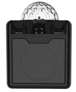 BSCI Audit Factory CE ROHS Portable Disco Ball for 5.3 Speaker RGB LED Lighting 2 Microphones 5W Output Remote