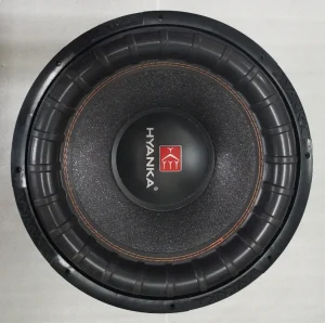 BSP 15 2 15 Inch Car Subwoofer in Stock Speaker 1600W Powered Speaker Car Audio Subwoofer 35-1000HZ