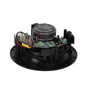 BT Wireless Ceiling Speaker with Background Music for Wireless Playing