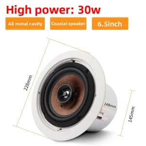 BX-206 Professional Conference Speaker 65-inch Coaxial Ceiling-Mounted Loudspeaker Suspended-Ceiling Audio System Set