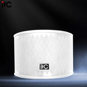 Bass Speaker 8 Inch Professional Modern Metal White Portable Surround Sound PA System 150W Live Sound Equipment for Conference