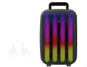 Big 8 Inch Wireless Party Boombox Loud Karaoke Speaker Box with Mic Remote Control