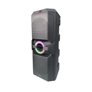 Big Power Double 12 Inch Trolley Speaker TWS BT Wireless Stage DJ Sound System Dual Wireless Microphone Karaoke Speaker