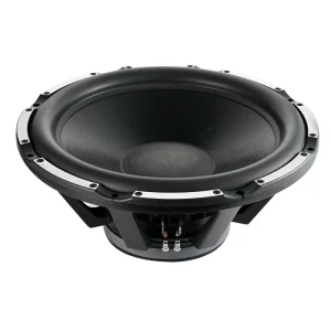 Big Powerful Professional 24 Inch for Subwoofer of Car Speaker SW61-24