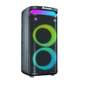 Big Size Dual 10 Inch 100Watts Sound Equipment Amplifiers Blue Tooth Smart Speakers Audio System Sound Professional Music Palyer