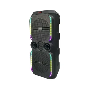 Big TWS Speaker Dual 12 Inch Party Speaker With Wireless Microphone Dazzling Lights