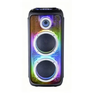 Blue Speaker RGB LED Lights Portable Wireless 5.0 Dual 8 Inch 100 Watt Rechargeable Built-in Mic Remote Wireless