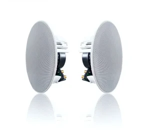 Borderless Coaxial Ceiling Speaker HiFi 838 6.5 Inch 30W 8 Full Range Unit Wired Public Address System Home Theatre Constant