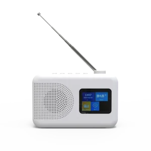 Built-In Speaker Wireless DAB+ Radio with Flashlight Rechargeable Battery LED Display Portable Alarm Clock