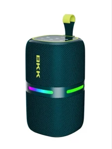 C300 Manufacturer of 30W Lightweight Portable Speaker with Auracast Function