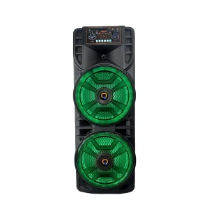 CE ROHS Certified Dual 12 Inch 60W Trolley Speaker with 5.3 RGB LED 4500mAh Battery for Party Outdoor Use