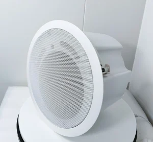 CL 306C OEM ODM ABS Baffle Ceiling Speakers 40W 8ohm Coaxial Loudspeaker