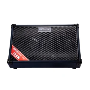 COOLMUSIC BP60D 120W Wood Power Guitar Amplifier for Busker Outdoor Speaker with Microphone Input Reverb Effects