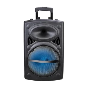 CQA 12 Inch Powered 3000W Best BT Speaker Price Party Trolley Outdoor Speaker with Easy Carry Wheels