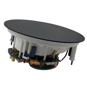 CS284 Angled Crossover 6.5 Inch 120W Passive 8 Ohms Black Ceiling Speaker with Subwoofer HiFi Frameless Type for False Ceiling