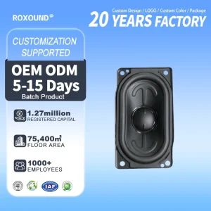 Car Audio Grade High Power Balanced Bass 2.75 Inch Full Range Car Speaker Accessories 4Ohm 30W External Magnet