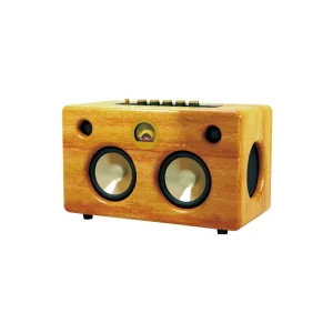 China Factory New Design Real Wood Handmade Craft Wooden Portable Speaker Real Wood Speaker for Christmas