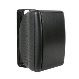 Chinese Supplier Laser Cutting Outdoor Speaker Enclosure
