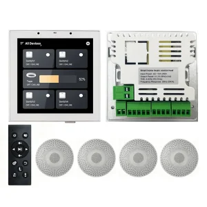 Cinema Background Audio Amplifier Control Panel DTS Remote Controller Home Theater KTV Karaoke Player 25-watt Ceiling Speaker