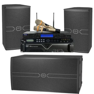 Club 218B Performance Stage Professional Dual 18 Inch Powered Bass Concert Sound System 2 Way High End DJ Subwoofer