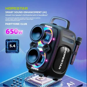 Club with Dual Microphone 650W Loud Bass Powered Karaoke Speaker Outdoor Party Speaker Subwoofer