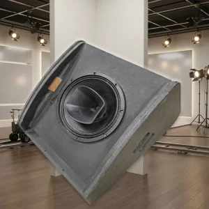Coaxial 12 inch Monitor Speaker 250W 400W 8 Ohm Impedance XLR Speakon Connectivity Wood Shell Floor Standing Mono 3 Year