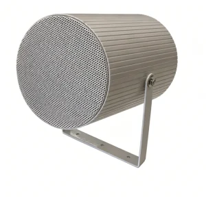 Commercial Directional Horn Speaker 70V 100V Adjustable Wall Mount PA Audio for Outdoor and Indoor Use