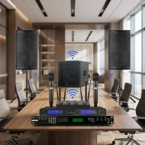 Complete Wooden Wireless Public Address System for Large Meeting Room 12″ Subwoofer & Speakers