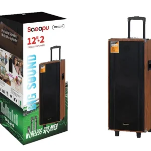 Cross Border Dual 12 Inch 60W Output Wood Cabinet Built in Battery Heavy Bass Outdoor Square Dance Speaker OEM