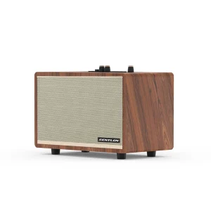 Cross border Explosions Retro Wooden 5.3 for Speaker Creative Gift Card Home Subwoofer All in One IPX7 Waterproof 60W
