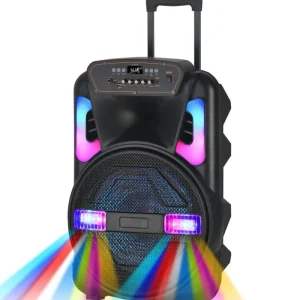 Cross-border Outdoor Square Dance Speaker 15inch Portable Trolley Wireless Microphone FM TF USB Card Slot Display Screen Remote