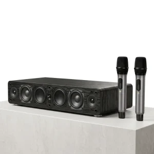 Cross border Smart Audio Systems Karaoke All in One Machines Home Theater Song Selection Kiosks Amplifiers Speakers