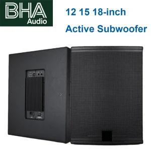 Custom Mold XS Series 12 15 18 Inch Active Subwoofer Speaker for Outdoor Stage Performance Deep Bass Factory Price